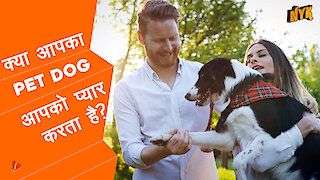 क्या आपका Pet Dog आपको प्यार करता है?