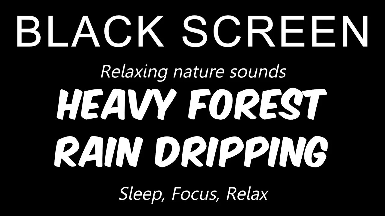 HEAVY Forest RAIN Dripping | 10 Hours | Sleep, relax, focus