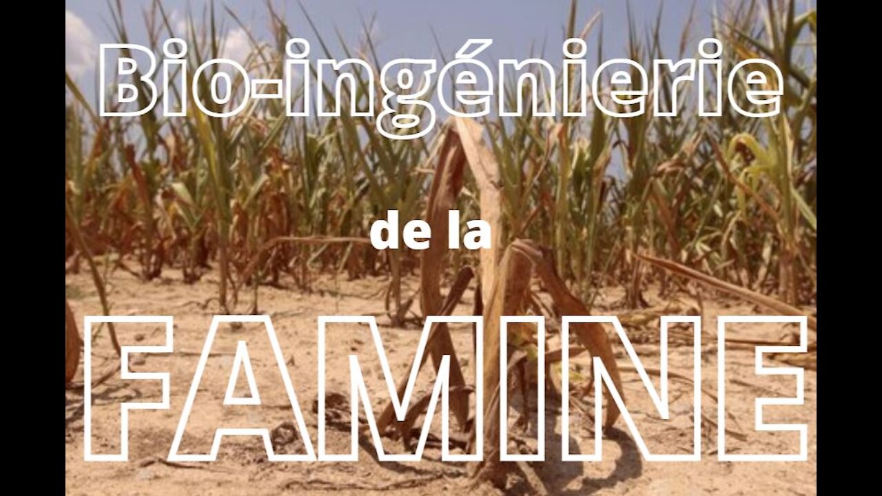 [VF] Une famine mondiale provoquée par une bio-ingénierie devenue folle • 1/2