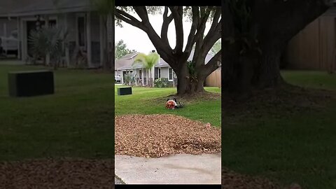 made $540 on this job Video By electriclawncareguy #Shorts