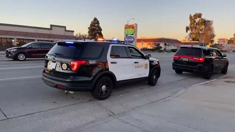 Sergeant Healey I Have A Question????