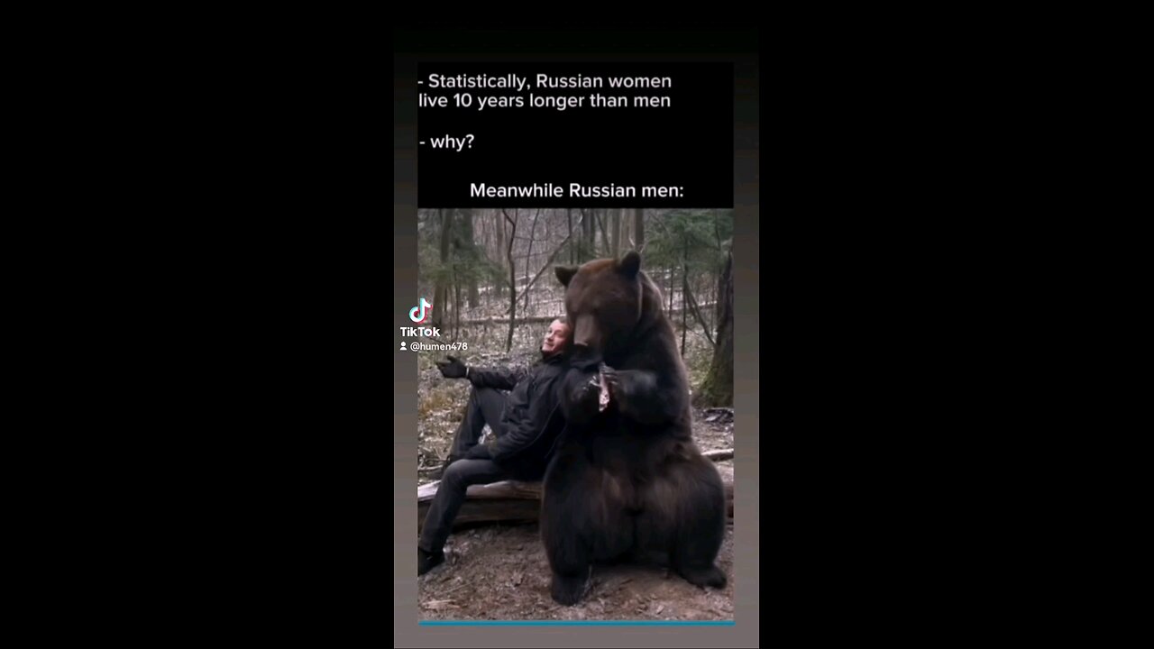 Russian bear