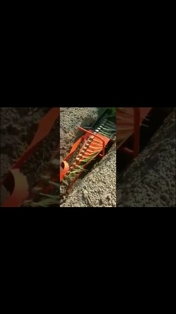 Most Amazing and trending video||relaxing your mind||trendig videos|| #shorts #trending #viral #live