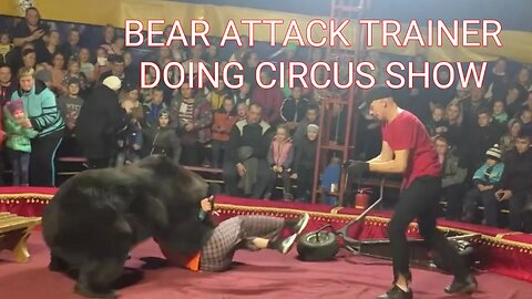 Bear Attack Trainer Doing Circles Show