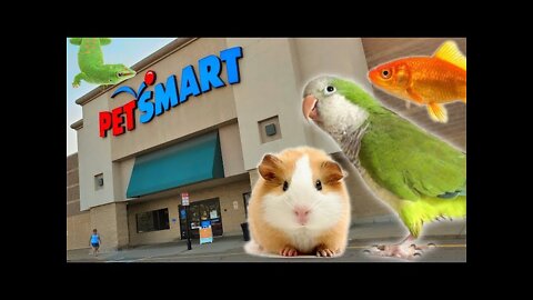 EXPLORING PETSMART ! ANIMAL FRIENDS EVERYWHERE!