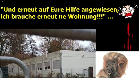 "Brauche Eure Hilfe, benötige dringend ne neue Wohnung, Danke!!!“
