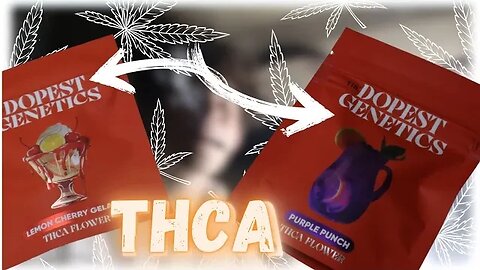 The Dopest GENETICS review!