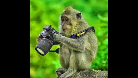 Right Moment Pics - Funny Photos 2021 - Funny videos - Funny pics compilation 2021