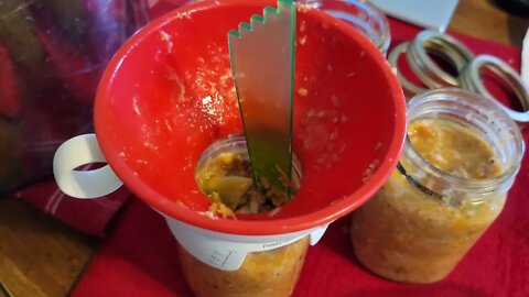 I'm canning more homemade dogfood today