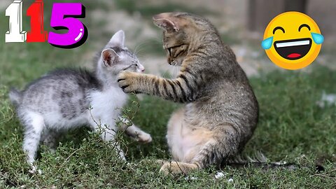 New Funny Videos 2023 😍 Cutest Cats and Dogs 🐱🐶 Part115