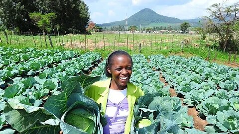 AFRICAN DIARY- DIGITAL FARMING AND MARKETING IN AFRICA.