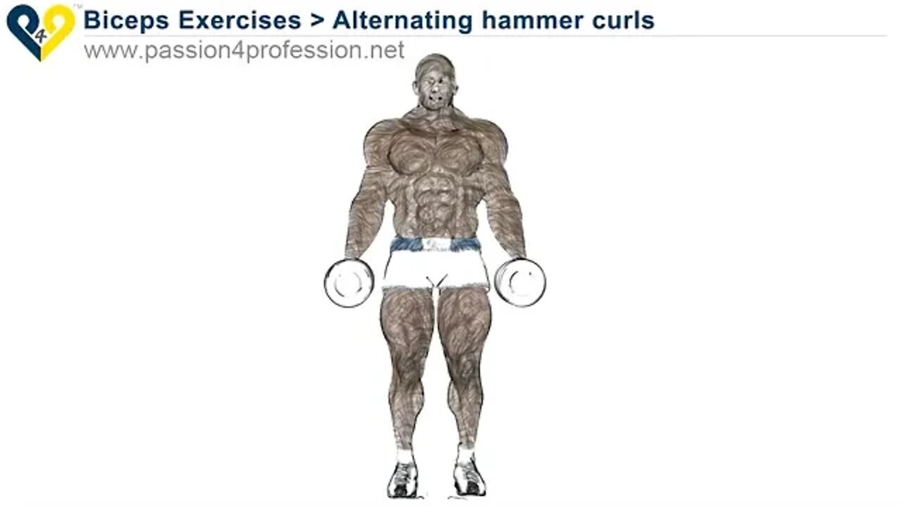 How Alternating hammer curls standing with dumbbells Broke The Internet