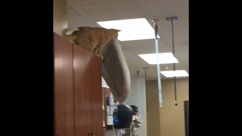 Jump