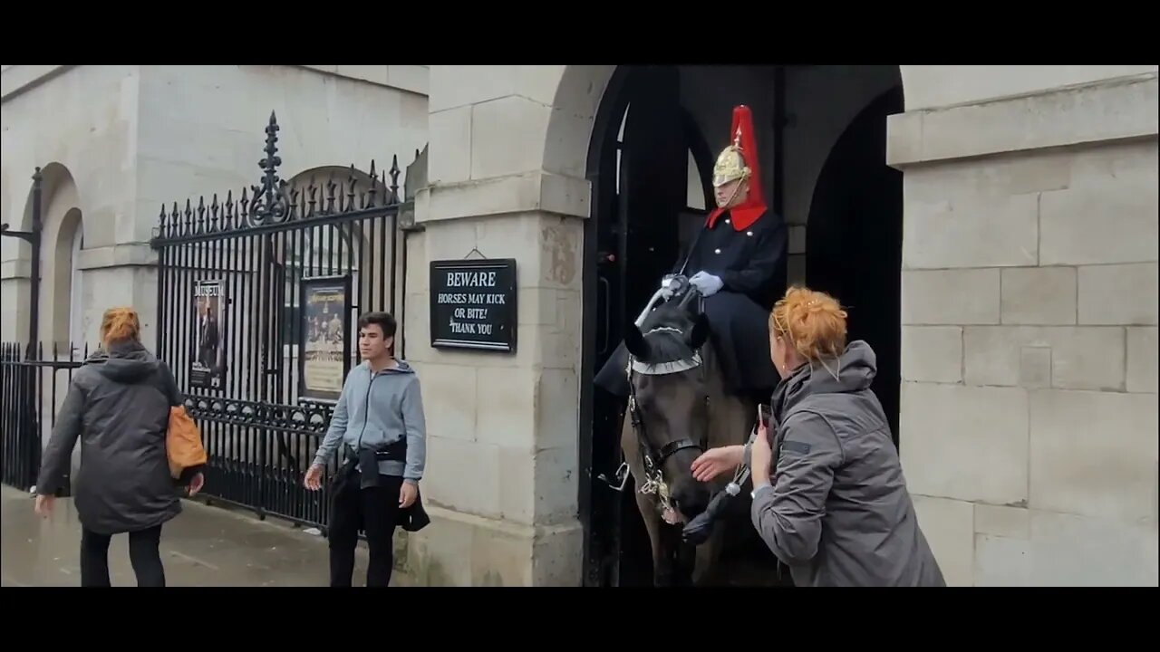 The Horse seeing double #horseguardsparade
