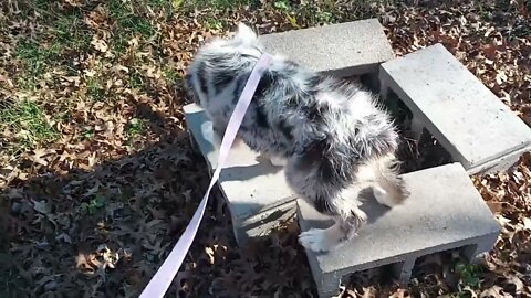 Day 1 training #shorts