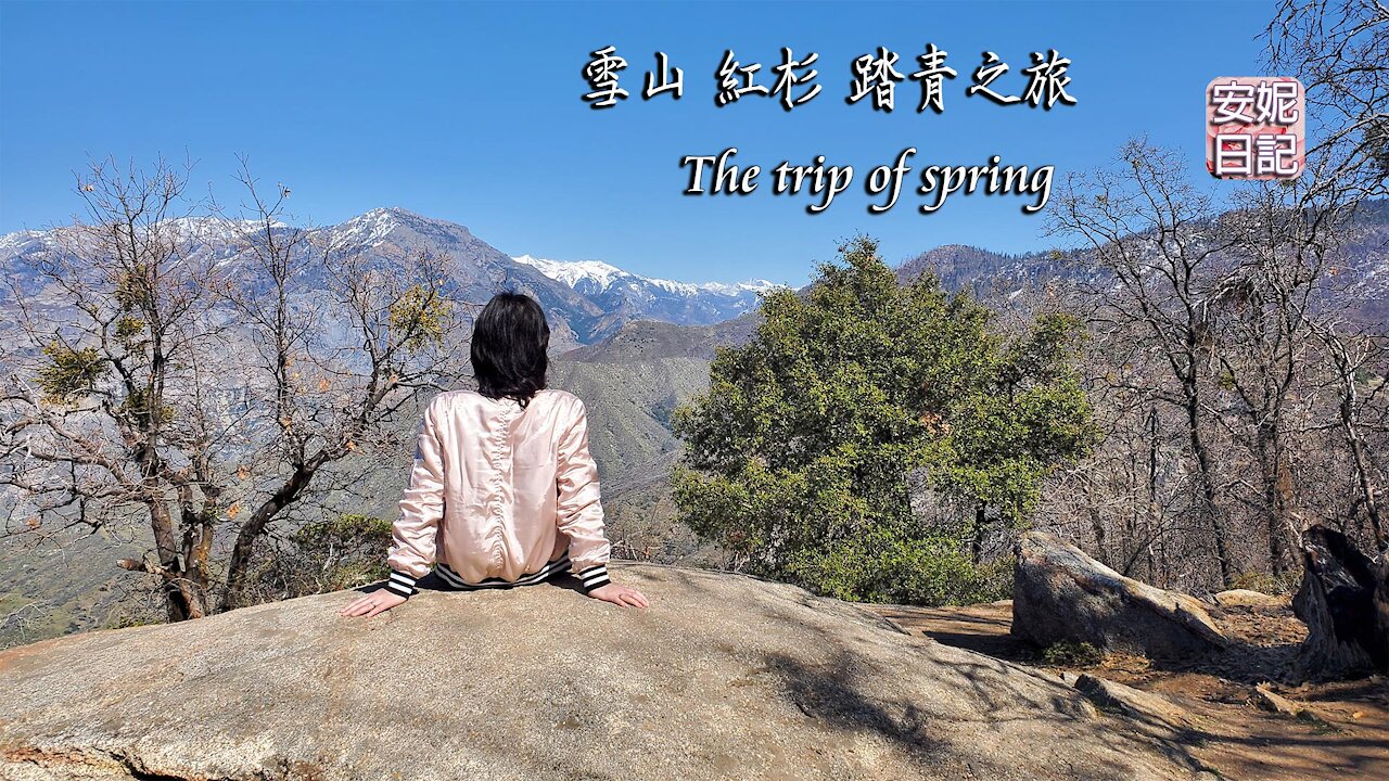 (051)雪山 紅杉 踏青之旅 The trip of spring【安妮日記】