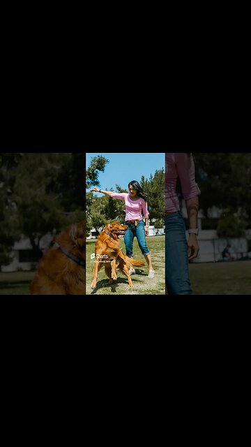 10 Best Family dogs#shorts