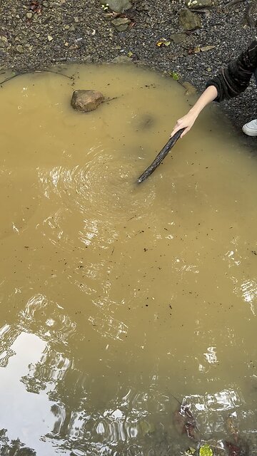 Investigating bubbles before church 7/30/23