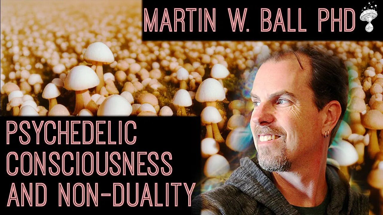 Entheogenic Evolution || Psychedelic Consciousness and Non-Duality || Martin W. Ball PhD