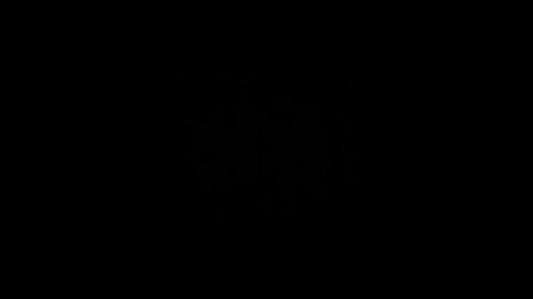 How to pronounce bugaboo