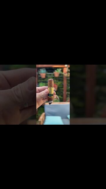 Romeo y Julieta Envy SHORTS Review #cigar #cigars #review #shorts #fyp