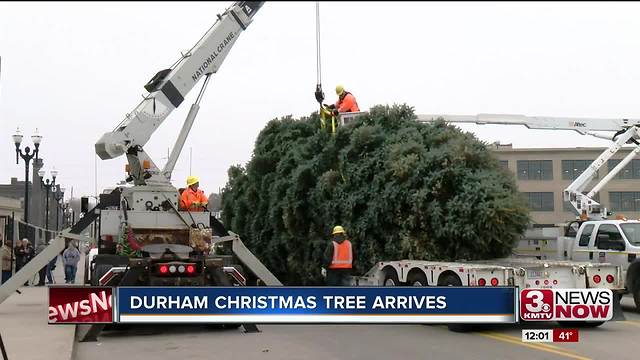 Durham Christmas tree makes its way to the museum