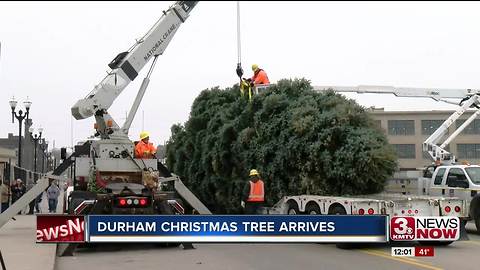 Durham Christmas tree makes its way to the museum