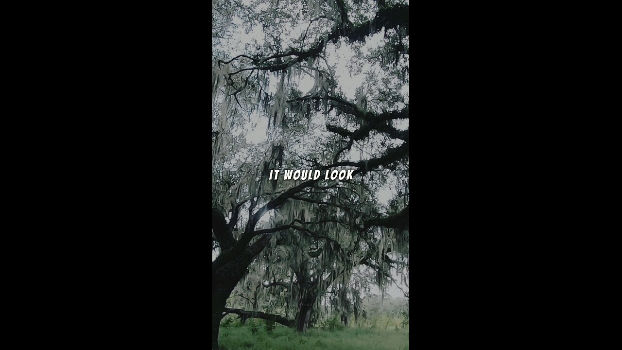 even when it feels like god has abandoned you (quote)