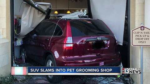 SUV slams into Clip-N-Tails grooming shop