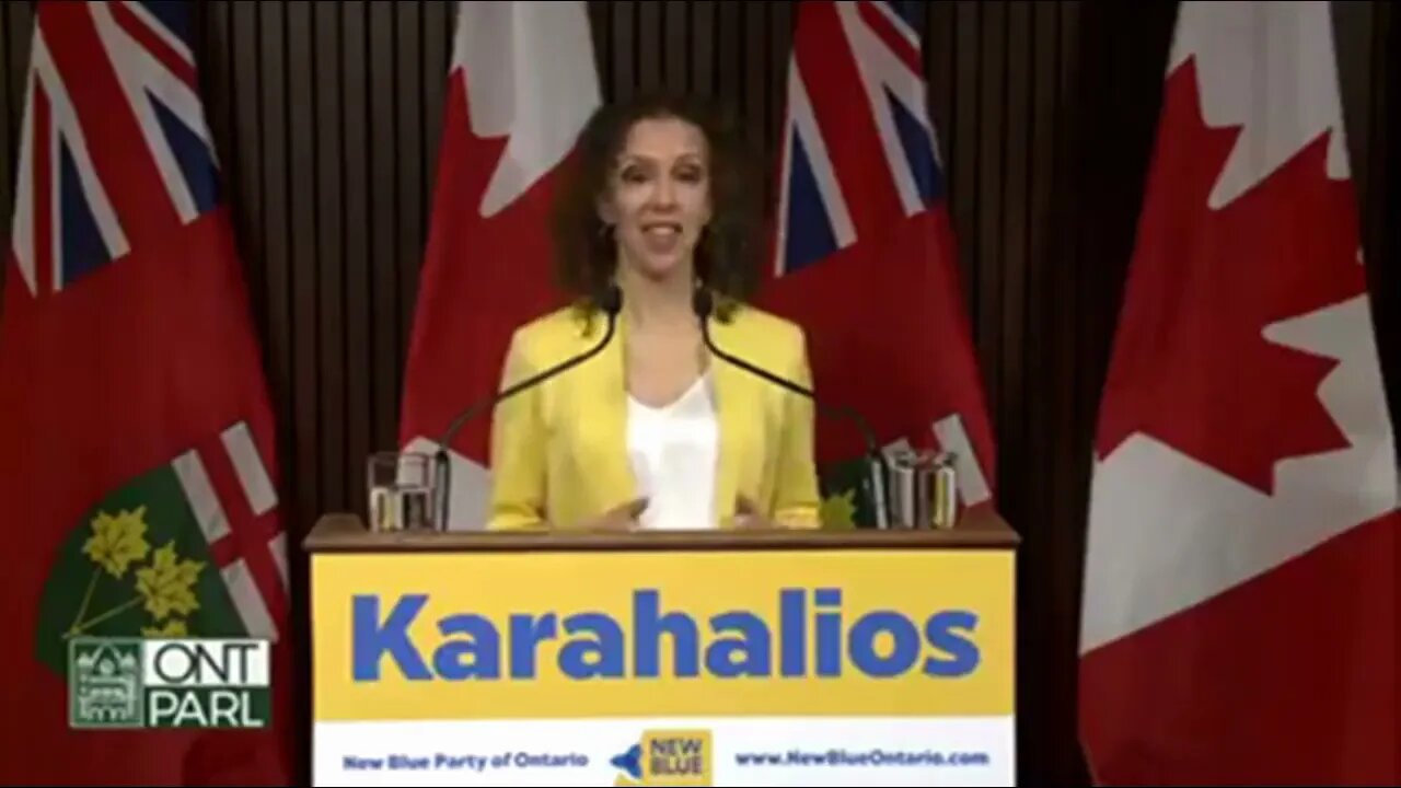 New Blue Party , Goal Is To Replace Establishment Parties