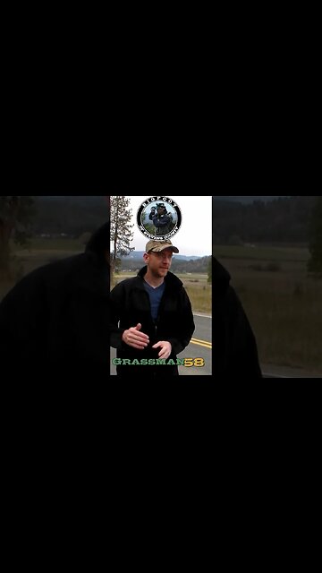 Creature Crossed The Road