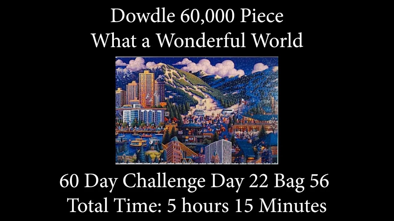 60,000 Piece Challenge What a Wonderful World Jigsaw Puzzle Time Lapse - Day 22 Bag 56!