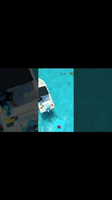 🌴Constantly Discovering the Magic of the Florida Keys from the water and the air 🪸 #keylargo