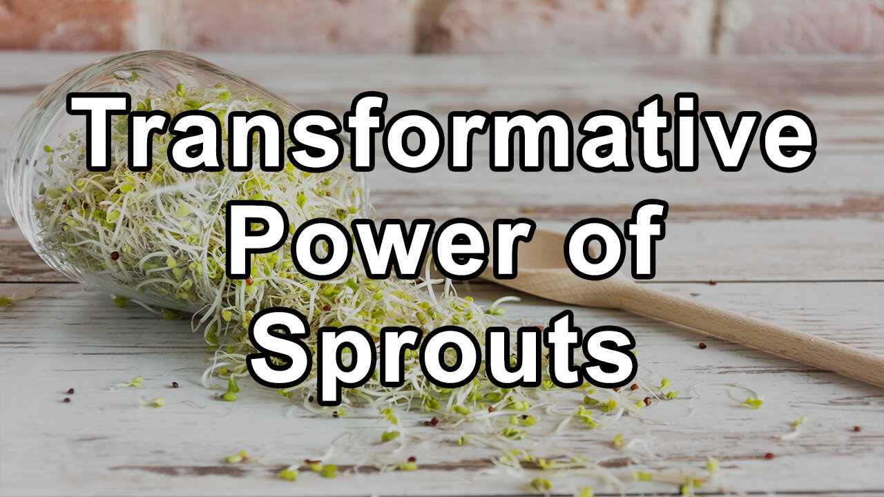 The Transformative Power of Sprouts: A Journey to Health and Sustainability