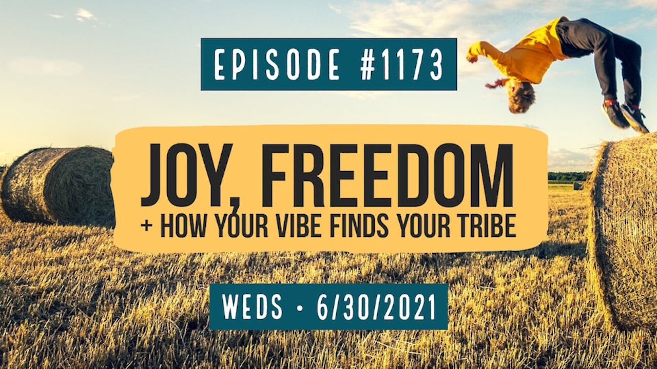 #1173 Joy, Freedom & How Your Vibe Finds Your Tribe