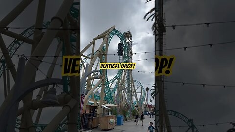 This Coaster Has A VERTICAL DROP! #shorts