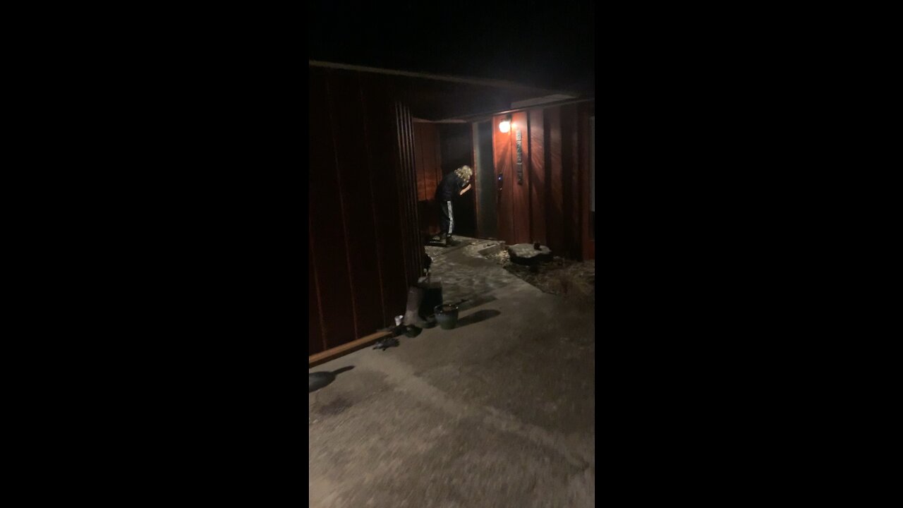 Son sees dog after a long trip!