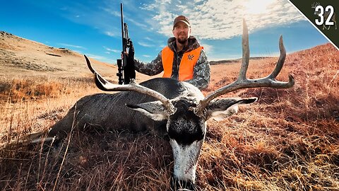 WIDE Mule Deer Buck (Spot and Stalk Hunt + Pheasants and Grouse!)