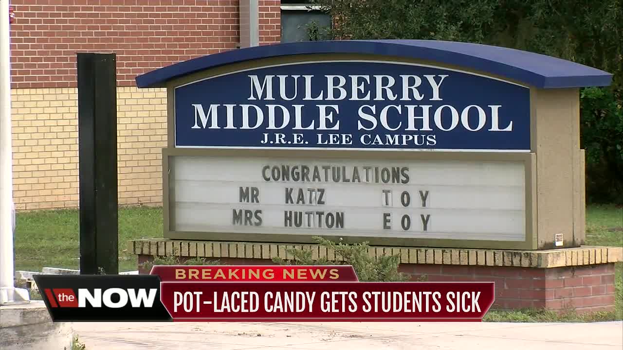 Multiple students hospitalized after eating gummy bears laced with THC at Polk County school