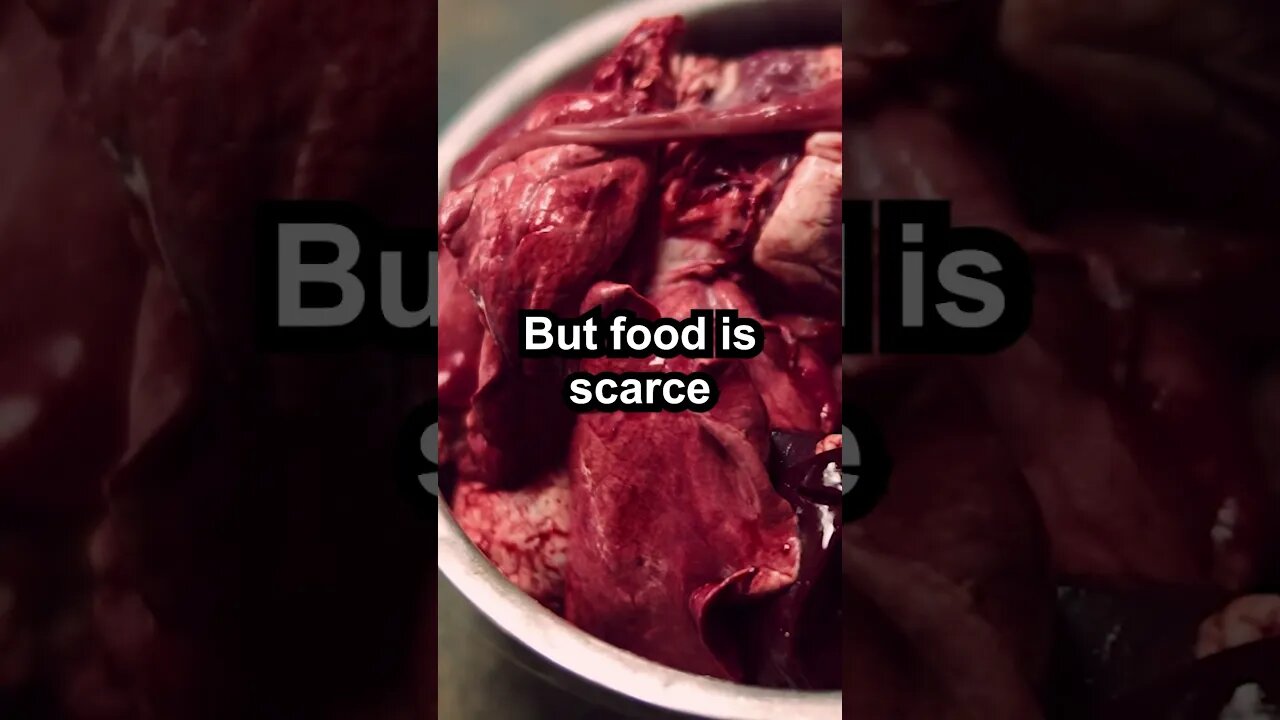 Food...#twosentencehorrorstory #creepy #Food
