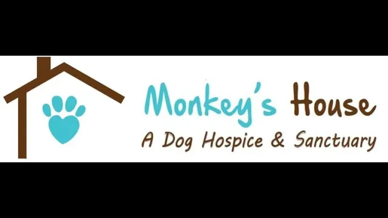 Monkey's House A Dog Hospice and Sanctuary Jeff Allen's New Book Leashes In Heaven