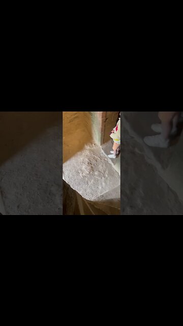 Nesting Feathered Friends in Urquhart Castle #Lockness