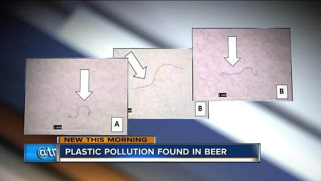 Researchers find 'microplastics' in beers that source water from Lake Michigan