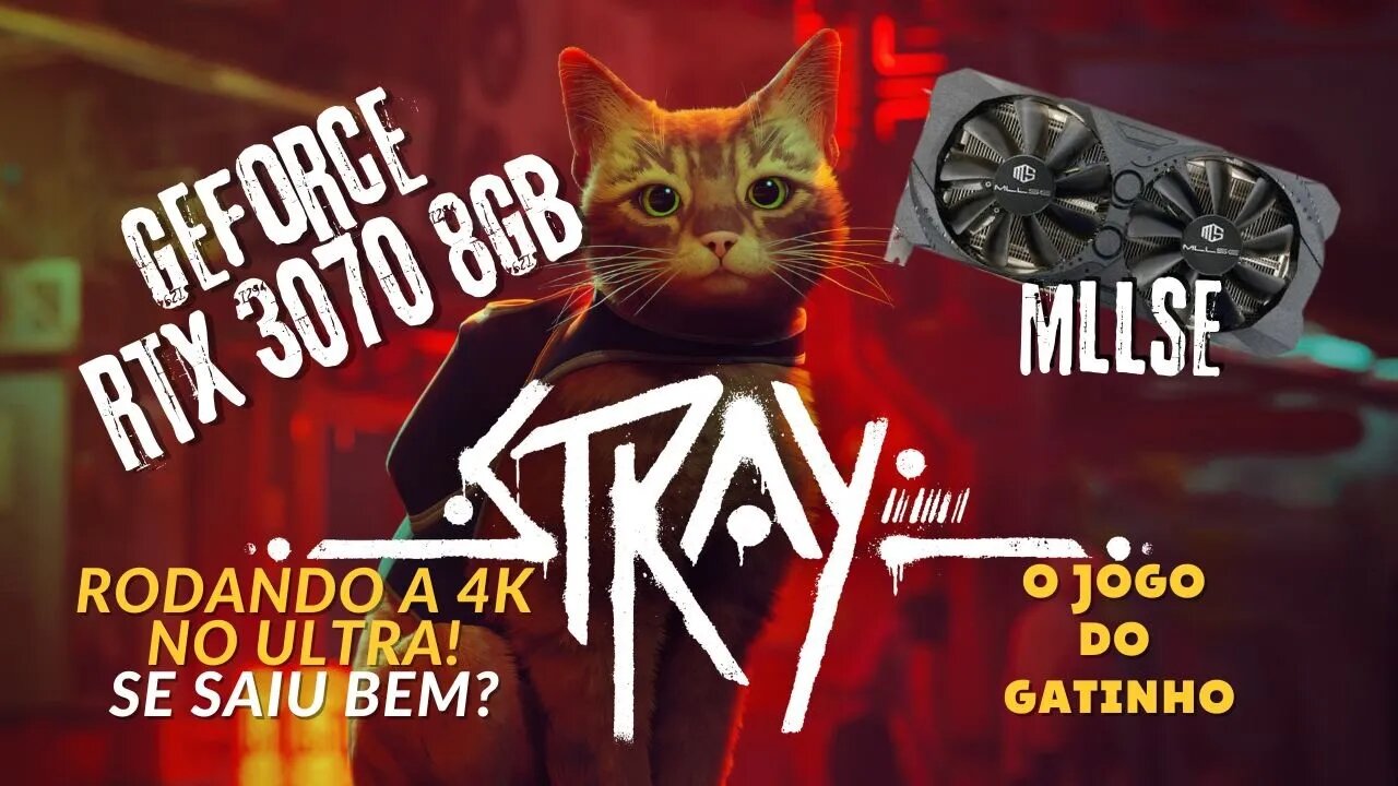 RTX 3070 MLLSE ALIEXPRESS RODANDO STRAY GAME EM 4K MUITO ACIMA DE 60 FPS! (JOGO DO GATINHO)