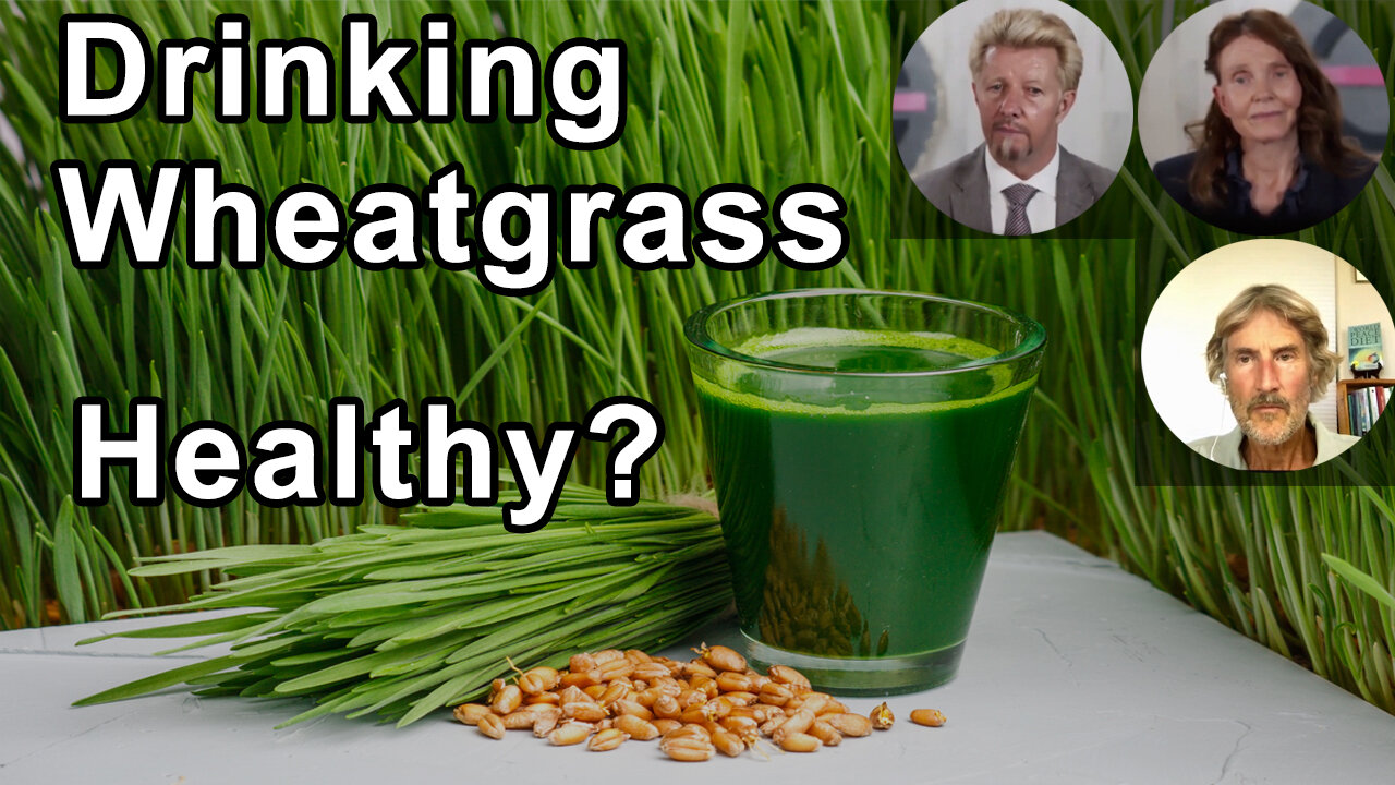 Why Is Drinking Wheatgrass Considered So Healthy? - Anna Maria Clement, Brian Clement, Will Tuttle