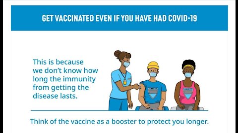 Never Mind the immunise your immunity Bollocks