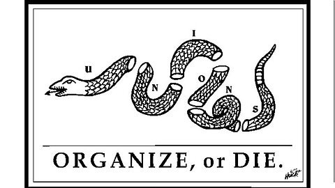 We The People Are The Militia - Understanding The 2A And How To Form Lawful Militia