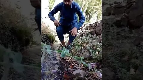 Ameeron ka paani peeny ka style or hamara #Sadidtv #youtubeshorts