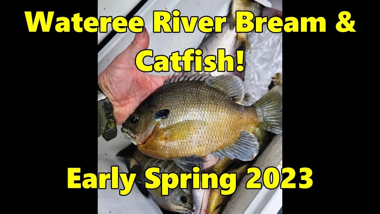 The Fish are Biting in the Wateree River! Early Spring 2023