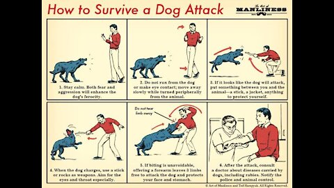 Self defense from a aggressive dog